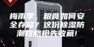 梅雨季，粮食如何安全存储？这份除湿防潮攻略抢先收藏!