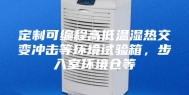 定制可编程高低温湿热交变冲击等环境试验箱，步入室环境仓等