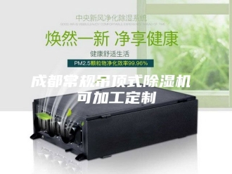行业新闻成都常规吊顶式除湿机 可加工定制