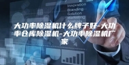 大功率除湿机什么牌子好-大功率仓库除湿机-大功率除湿机厂家