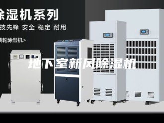 行业新闻地下室新风除湿机