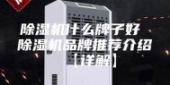 除湿机什么牌子好 除湿机品牌推荐介绍【详解】