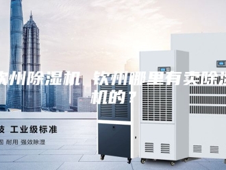 企业新闻钦州除湿机 钦州哪里有卖除湿机的？