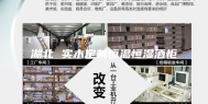 湖北 实木定制恒温恒湿酒柜