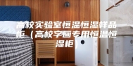 高校实验室恒温恒湿样品柜（高校字画专用恒温恒湿柜）