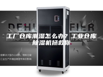 行业新闻工厂仓库潮湿怎么办？工业仓库除湿机拯救你