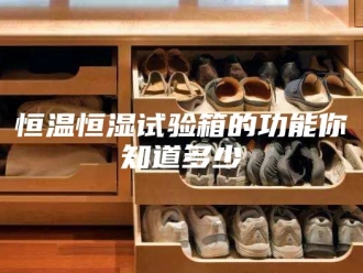 常见问题恒温恒湿试验箱的功能你知道多少