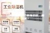 空调是否可以代替抽湿器、抽湿机？