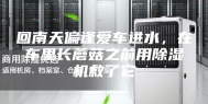 回南天偏逢爱车进水，在车里长蘑菇之前用除湿机救了它