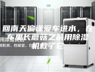 行业新闻回南天偏逢爱车进水，在车里长蘑菇之前用除湿机救了它