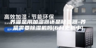 养猫是用加湿器还是除湿器-养猫需要除湿机吗(6月更新中)