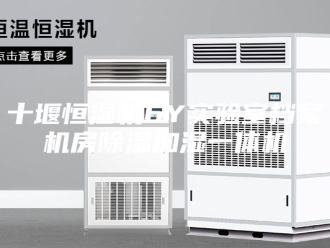行业新闻十堰恒湿机6Y实验室档案机房除湿加湿一体机