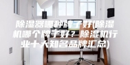 除湿器哪种牌子好(除湿机哪个牌子好？除湿机行业十大知名品牌汇总)