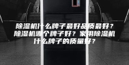 除湿机什么牌子最好品质最好？除湿机哪个牌子好？家用除湿机什么牌子的质量好？