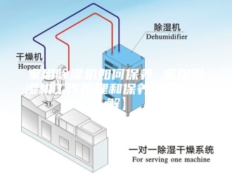 行业新闻家用除湿机如何保养 家用除湿机工作原理和保养方法【详解】