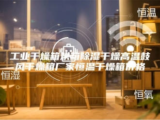 知识百科工业干燥箱烘箱除湿干燥高温鼓风干燥箱厂家恒温干燥箱价格