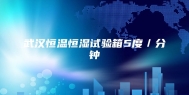 武汉恒温恒湿试验箱5度／分钟