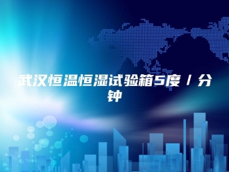 常见问题武汉恒温恒湿试验箱5度／分钟