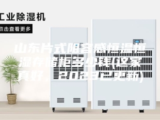 知识百科山东片式阻容感恒温恒湿存储柜多少钱(这家真好，2023已更新)