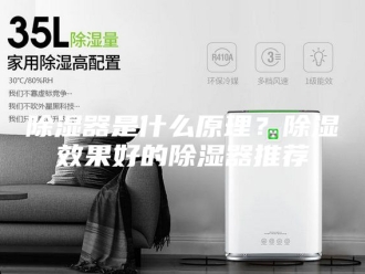 知识百科除湿器是什么原理？除湿效果好的除湿器推荐