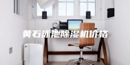 黄石泳池除湿机价格