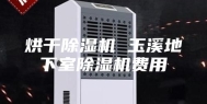 烘干除湿机 玉溪地下室除湿机费用