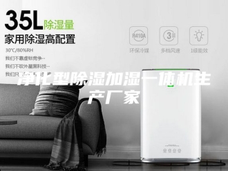常见问题净化型除湿加湿一体机生产厂家