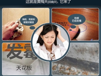 知识百科知否知否，国内十大除湿机品牌