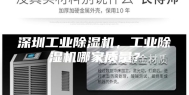 深圳工业除湿机，工业除湿机哪家质量？