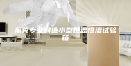 东莞专业制造小型恒温恒湿试验箱