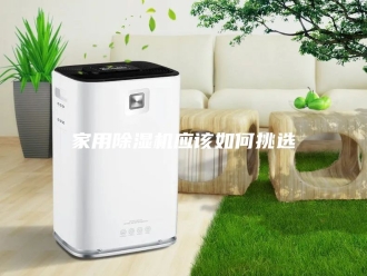 行业新闻家用除湿机应该如何挑选