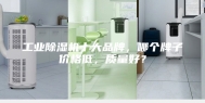 工业除湿机十大品牌，哪个牌子价格低，质量好？