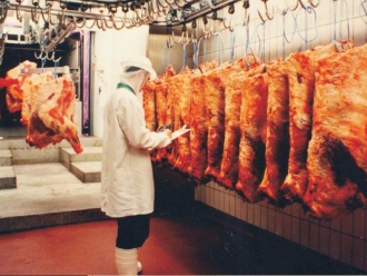 行业新闻控制家禽处理车间的湿度解决方案