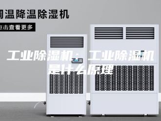 行业新闻工业除湿机：工业除湿机是什么原理