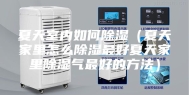 夏天室内如何除湿（夏天家里怎么除湿最好夏天家里除湿气最好的方法）