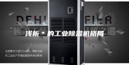 浅析＊的工业除湿机格局