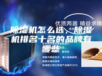 企业新闻除湿机怎么选，除湿机排名十名的品牌有哪些
