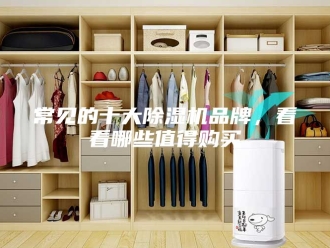 行业新闻常见的十大除湿机品牌，看看哪些值得购买