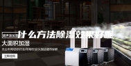 什么方法除湿效果好呢