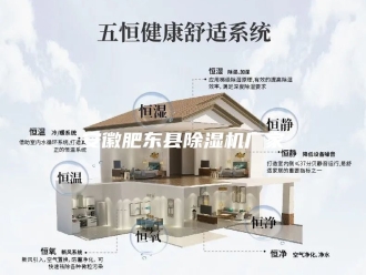 行业新闻安徽肥东县除湿机厂家
