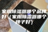 家用除湿器哪个品牌好（家用除湿器哪个牌子好）