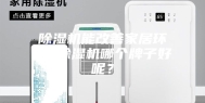 除湿机能改善家居环境 除湿机哪个牌子好呢？