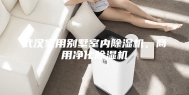 武汉家用别墅室内除湿机，商用净化除湿机