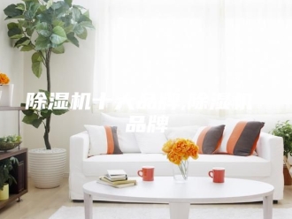 企业新闻除湿机十大品牌,除湿机 品牌