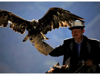常见问题除湿机对猎鹰繁殖的湿度控制_除湿机厂家