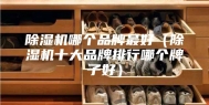 除湿机哪个品牌最好（除湿机十大品牌排行哪个牌子好）