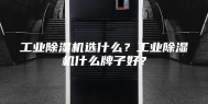 工业除湿机选什么？工业除湿机什么牌子好？