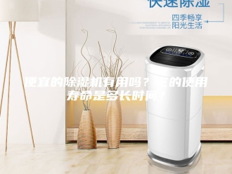 常见问题便宜的除湿机有用吗？它的使用寿命是多长时间？