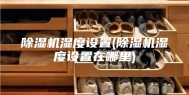 除湿机湿度设置(除湿机湿度设置在哪里)