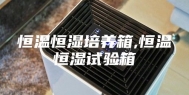 恒温恒湿培养箱,恒温恒湿试验箱